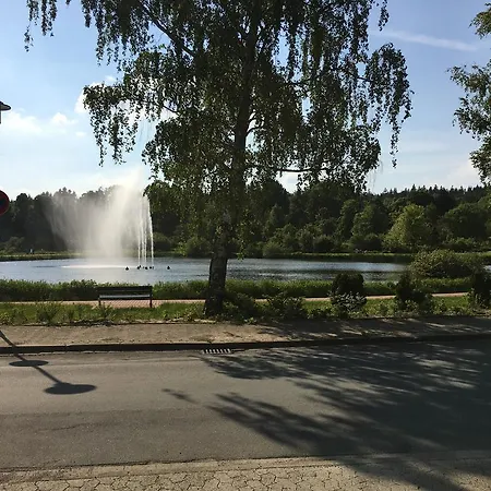 Fewo Andresen Hahnenklee Goslar