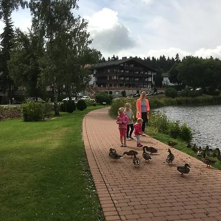 Fewo Andresen Hahnenklee *